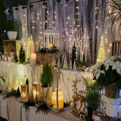 Sunny Spot Nursery