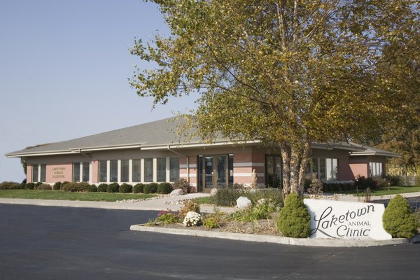 laketown cat hospital