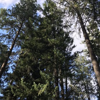 Weasku Inn Historic Resort - Hotels Near Me - Grants Pass, Oregon