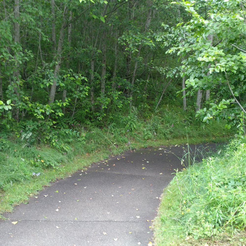 Coldwater Lake - Trail - Lakes Near Me - Trout Lake, Washington Coldwater Lake - Trail - Lakes Near Me - Trout Lake, Washington