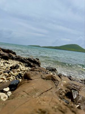 Tamarindo Beach by null
