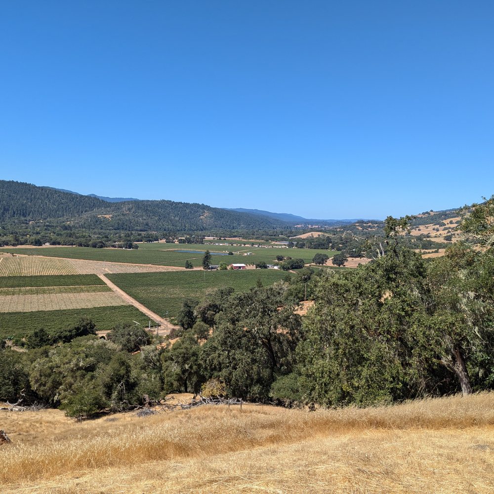 Fathers + Daughters Cellars - The view! - Wineries Near Me