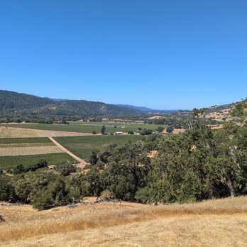 Fathers + Daughters Cellars - The view! - Wineries Near Me Fathers + Daughters Cellars - The view! - Wineries Near Me