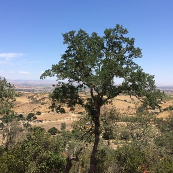 Le Cuvier Winery - View from the winery - Wineries Near Me - Paso Robles, California