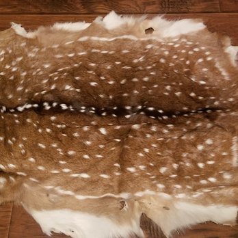 Taxidermy Designs - undefined - Taxidermy Near Me - Tomball, Texas Taxidermy Designs - undefined - Taxidermy Near Me - Tomball, Texas
