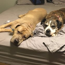 SPCA Cincinnati