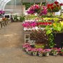 Photo of Hanover Landscape And Garden Center