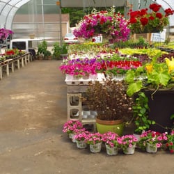 Hanover Landscape And Garden Center - Green house