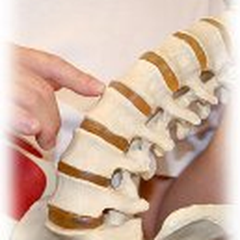 Clear Lake Chiropractic - Explanation of spinal biomechanics - Chiropractors Near Me - Webster, Texas