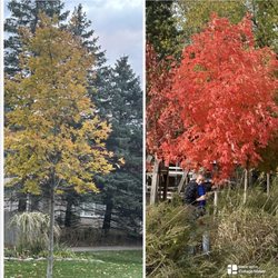 Sherwood Forest Garden Center