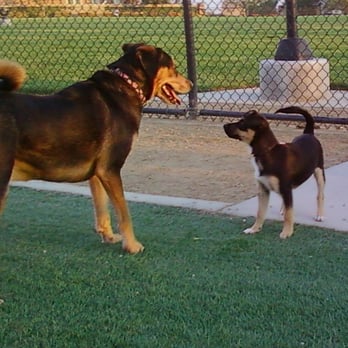American Heroes Park - Dog Parks Near Me - Eastvale, California