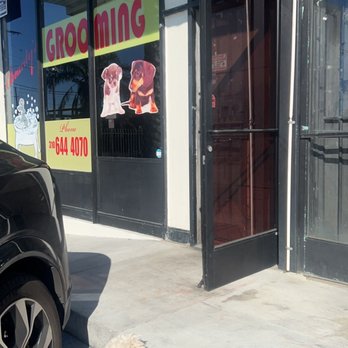 Beauty's Dog Grooming - Mi Benji boy excited to get groomed lol - Pet Groomers Near Me - Hawthorne, California Beauty's Dog Grooming - Mi Benji boy excited to get groomed lol - Pet Groomers Near Me - Hawthorne, California