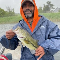 Mike's Guide Service - Large mouth bass