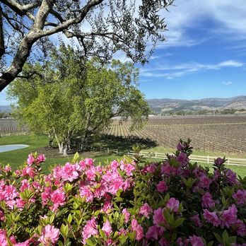 Far Niente - Far Niente vineyards - Wineries Near Me - Oakville, California Far Niente - Far Niente vineyards - Wineries Near Me - Oakville, California