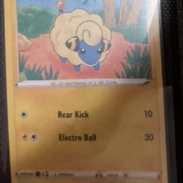 mareep bulk card i paid for mareep bulk card i paid for
