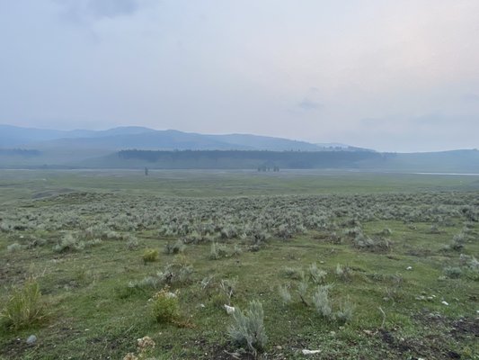 Lamar Valley by null