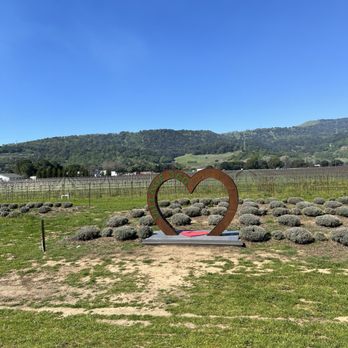 Village 360 - Wine Tasting Room Near Me - Fairfield, California