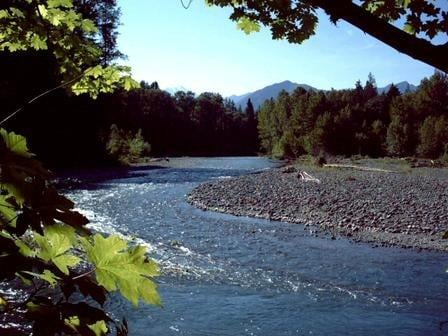 Dosewallips State Park by null