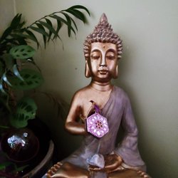 Dutchess Yoga Studio