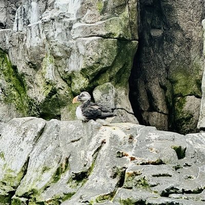 Oceanário de Lisboa by null