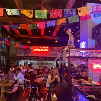 Tacology - Bar - Mexican Near Me - Miami, Florida