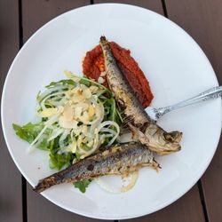 SER - Sardines