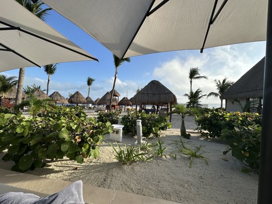 Beloved Playa Mujeres by null
