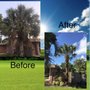 Photo of Desimini Landscaping