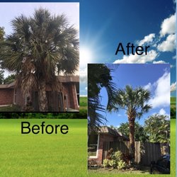 Desimini Landscaping