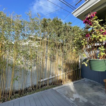 Franciscos Tree Service - Tree Services Near Me Franciscos Tree Service - Tree Services Near Me