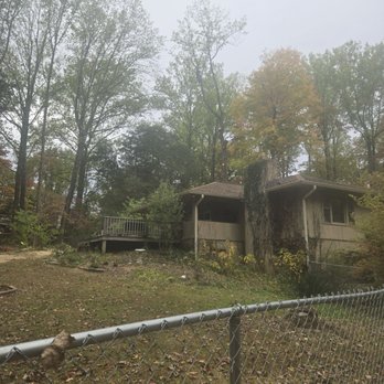 Sandoval Tree Services - He is in the top of.tree on the left - Tree Services Near Me - Indianapolis, Indiana Sandoval Tree Services - He is in the top of.tree on the left - Tree Services Near Me - Indianapolis, Indiana