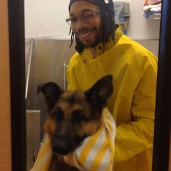 Camp Bow Wow Morris - Rub-A-Dub come visit Bow Wow's tub! - Pet Sitting Near Me - Morris Plains, New Jersey