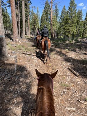Greenhorn Ranch by null