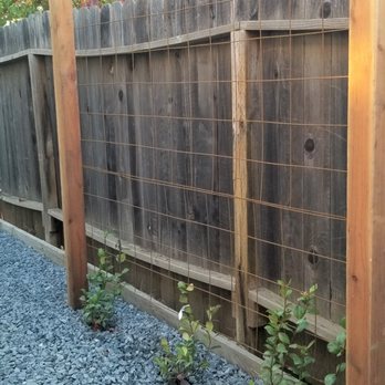 Chris McKoy Landscape - Trellis for jasmine to be viewed in dining room window. - Landscaping Near Me Chris McKoy Landscape - Trellis for jasmine to be viewed in dining room window. - Landscaping Near Me