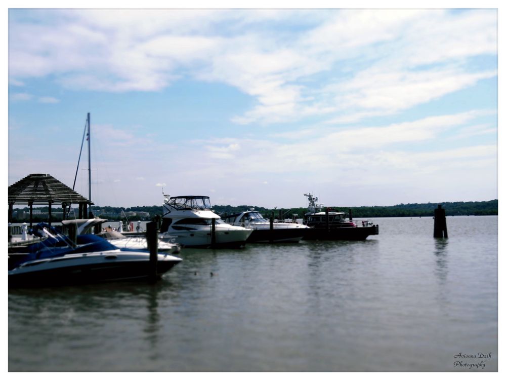 FOUNDERS PARK 85 Photos & 29 Reviews Dog Parks 351 N Union St