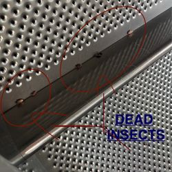 Commerce Wash House - there was dead insects in the washer machine.