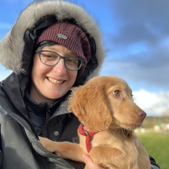 Cosmic Dog Training  - Pet Training Near Me