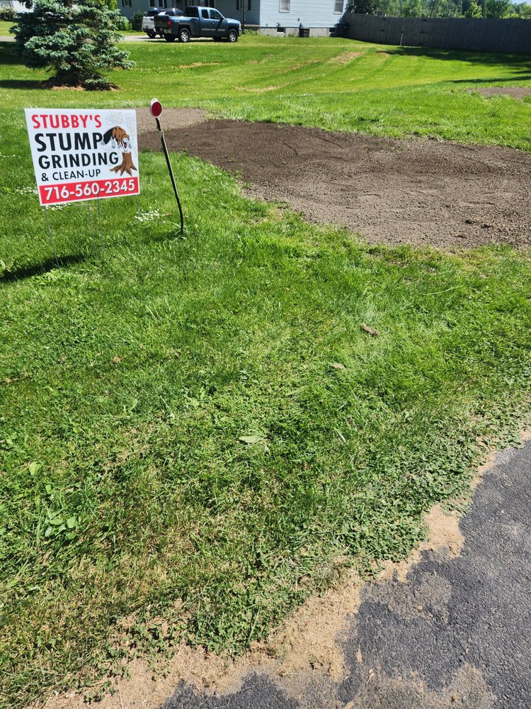 Stubbys Stump Grinding - tree service in Darien Center, NY