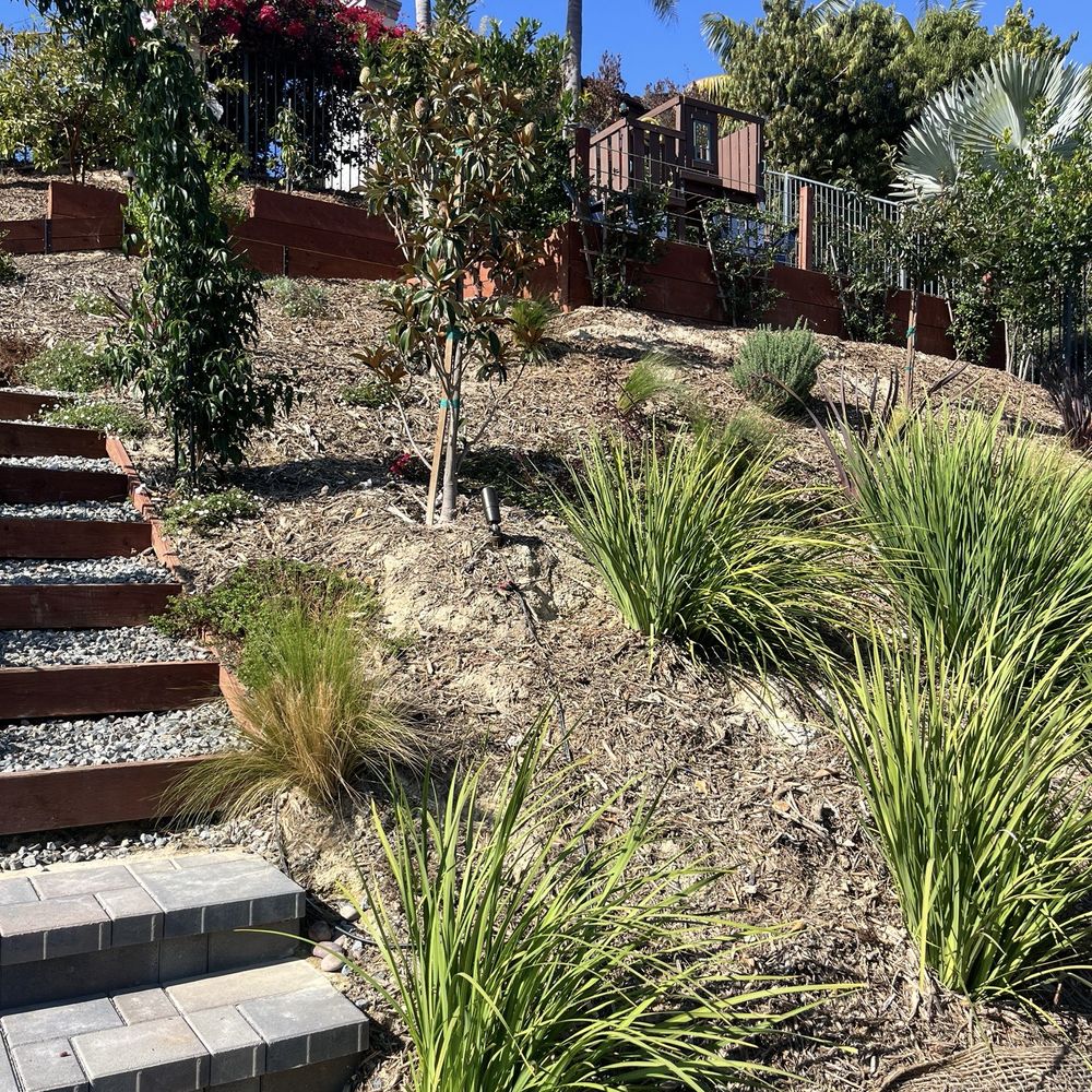 SD3D Landscape - Playhouse - Landscape Architects or Designers Near Me - Carlsbad, California SD3D Landscape - Playhouse - Landscape Architects or Designers Near Me - Carlsbad, California