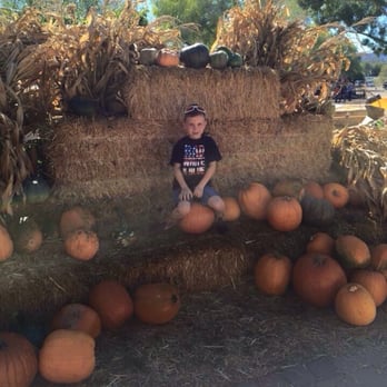 Mortimer Farms - Fun Times - Attraction Farms Near Me - Dewey, Arizona