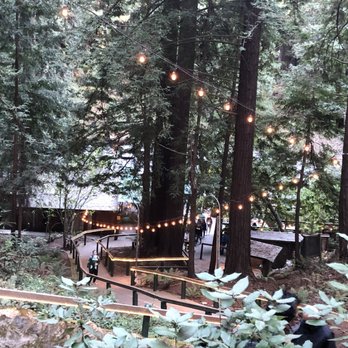 Mystery Spot - Amusement Parks Near Me - Santa Cruz, California