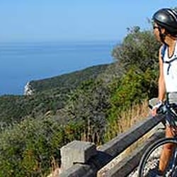 Cycling Rentals
