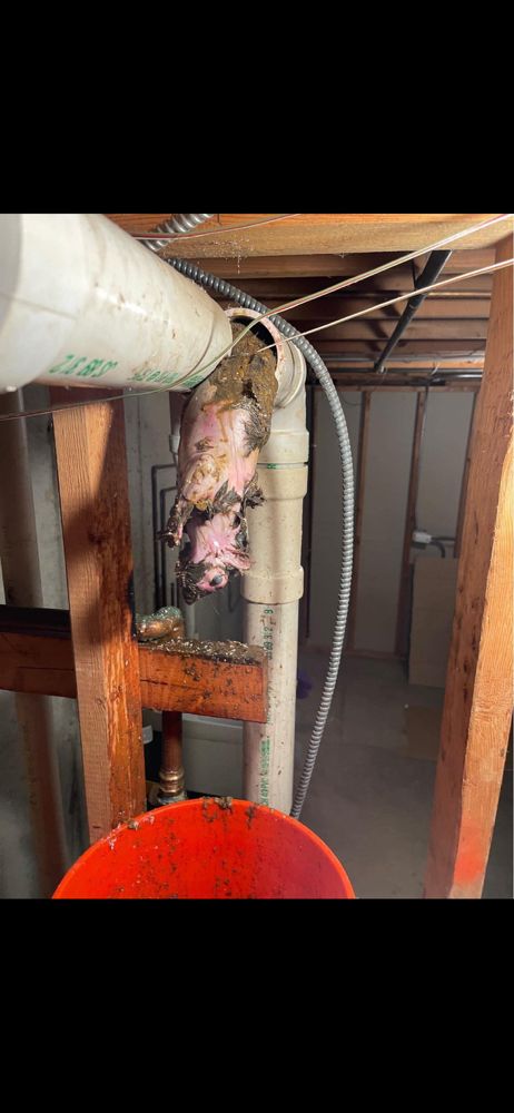 Slide of Rooter Flush