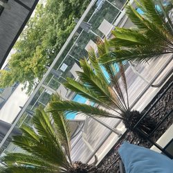 ibis Styles Nice Airport Arenas - Pool area