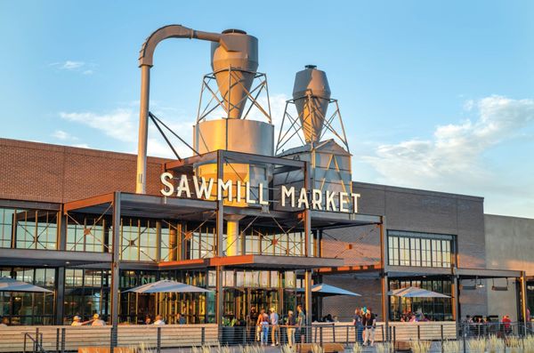 Sawmill Market by null