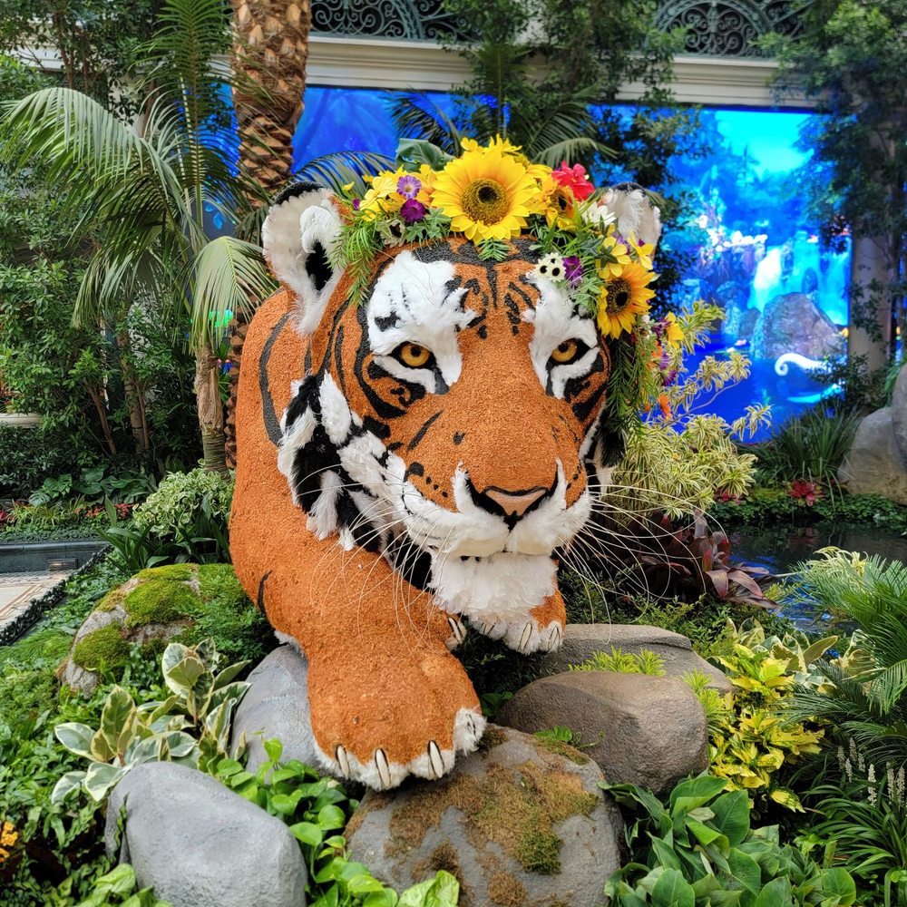 Bellagio - Hotels Near Me - Las Vegas, Nevada