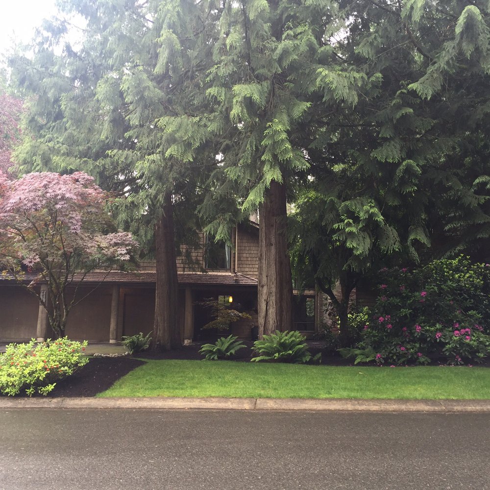 Temo's Landscape - JillH our front yard looks fantastic - thanks to Temo's! - Landscaping Near Me Temo's Landscape - JillH our front yard looks fantastic - thanks to Temo's! - Landscaping Near Me