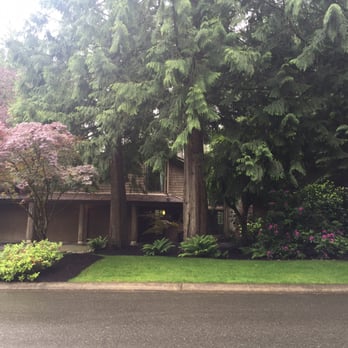 Temo's Landscape - JillH our front yard looks fantastic - thanks to Temo's! - Landscaping Near Me Temo's Landscape - JillH our front yard looks fantastic - thanks to Temo's! - Landscaping Near Me