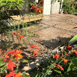 Nes Concrete - Segmented stamp patio