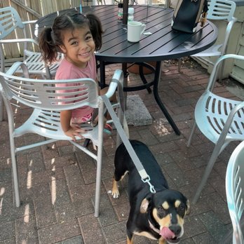 Mosquito Cafe - Dog friendly patio - Breakfast & Brunch Near Me - Galveston, Texas Mosquito Cafe - Dog friendly patio - Breakfast & Brunch Near Me - Galveston, Texas